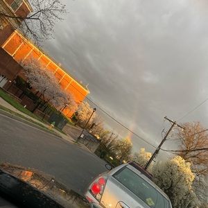 Meet your Posher, Elsa